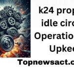 k24 propane idle circuit